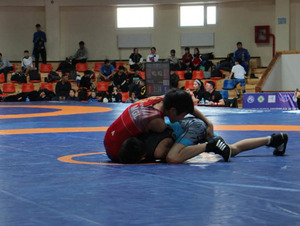 Чөлөөт бөхийн Өсвөр үе, Залуучуудын улсын аварга шалгаруулах тэмцээн Дарханд болно